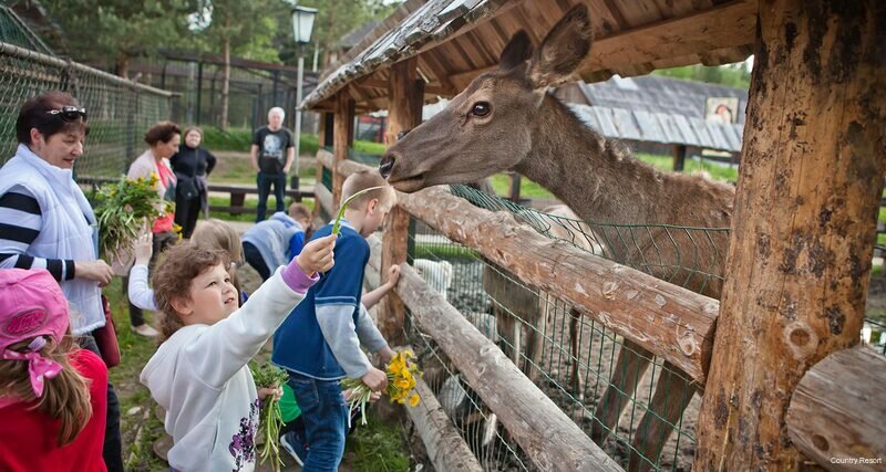 Гостиница Кантри Резорт Вербилки-154