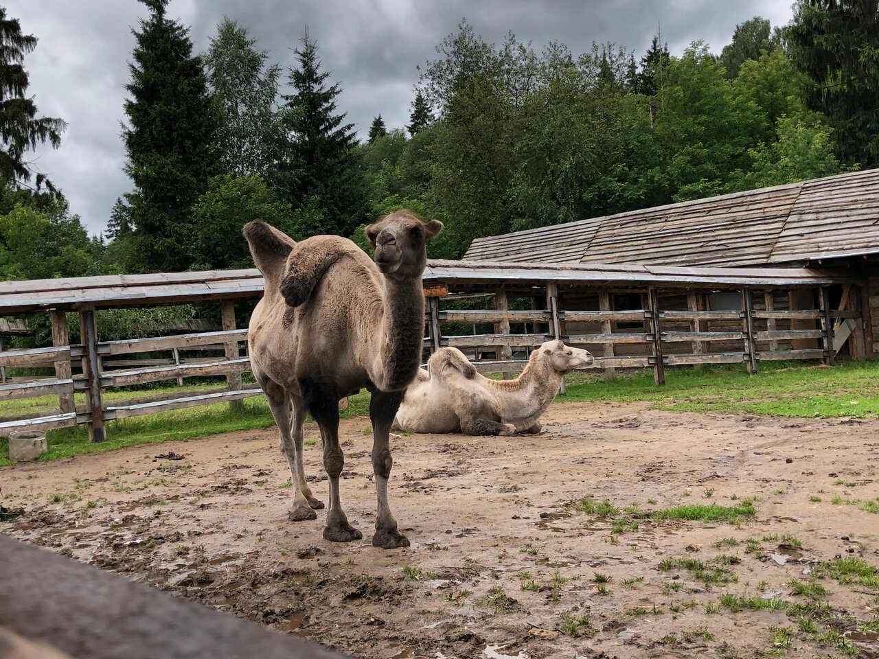Гостиница Кантри Резорт Вербилки-228