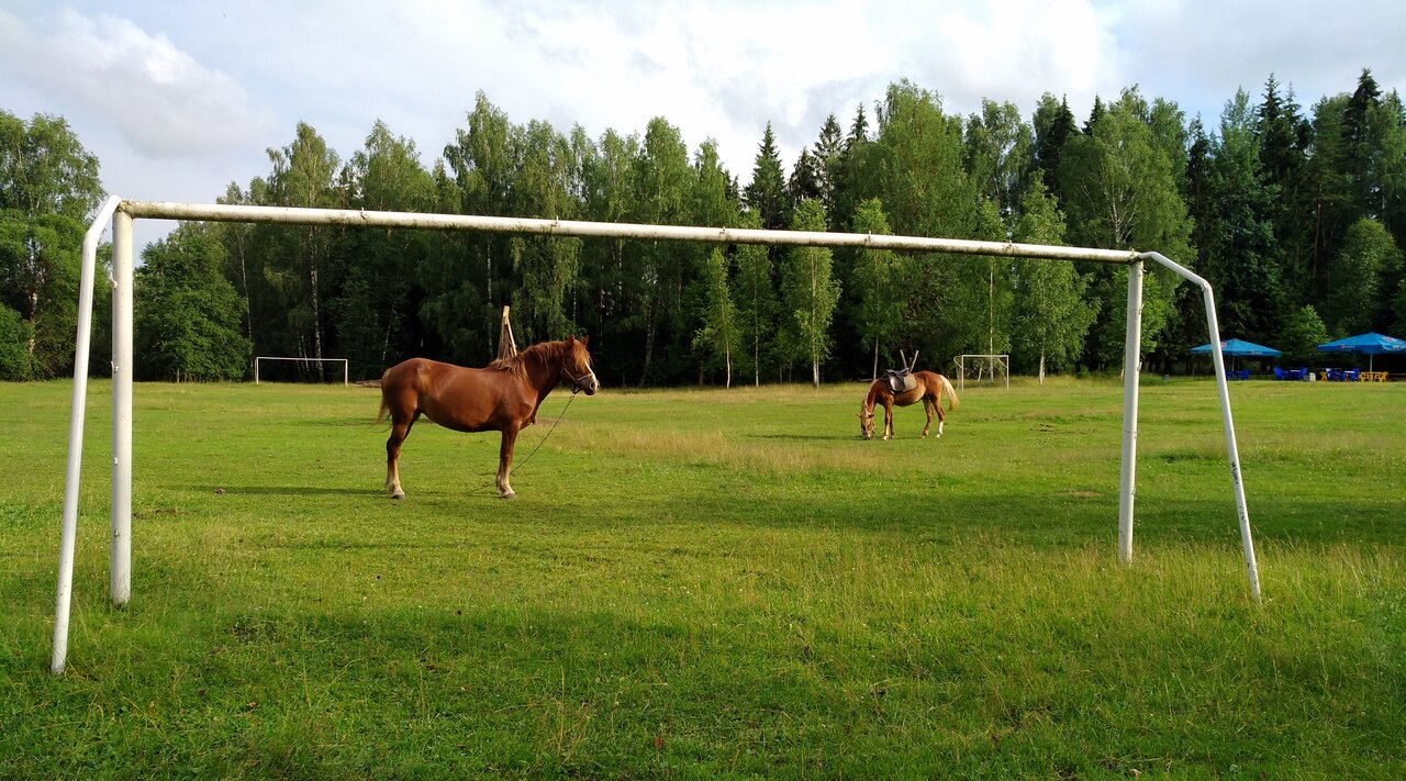 Гостиница Кантри Резорт Вербилки-116