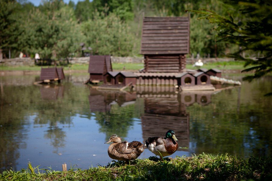 Гостиница Кантри Резорт Вербилки-54