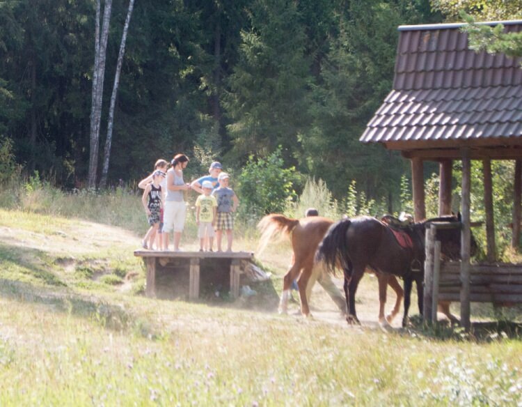 Гостиница Кантри Резорт Вербилки-252