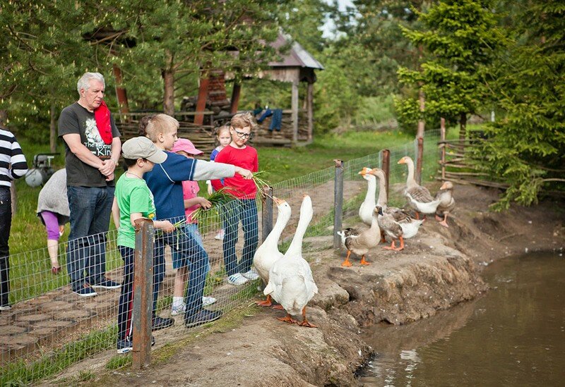 Гостиница Кантри Резорт Вербилки-155
