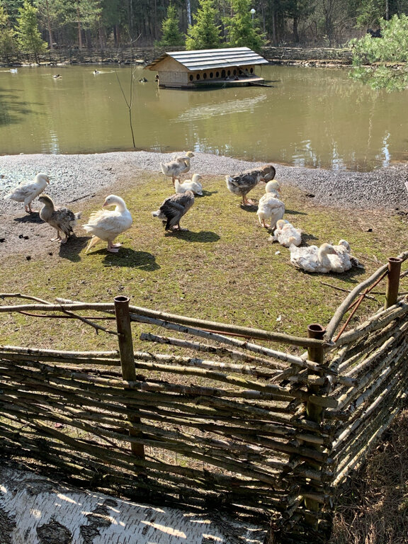 Гостиница Кантри Резорт Вербилки-113