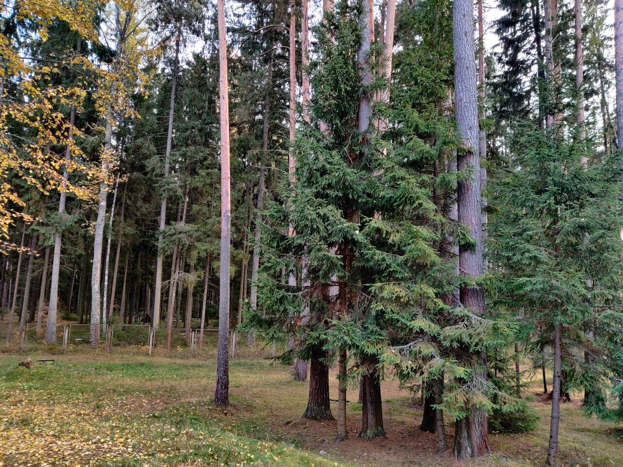 Гостиница Кантри Резорт Вербилки-163