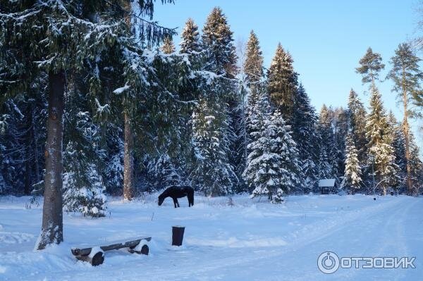 Гостиница Кантри Резорт Вербилки-124