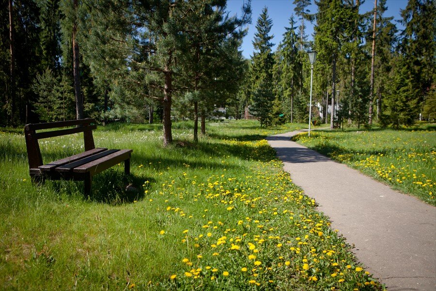 Гостиница Кантри Резорт Вербилки-70