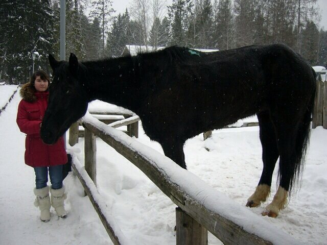 Гостиница Кантри Резорт Вербилки-235