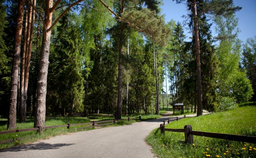 Гостиница Кантри Резорт Вербилки-20