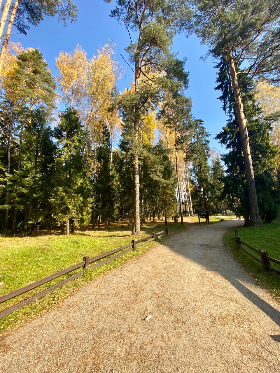 Гостиница Кантри Резорт Вербилки-157