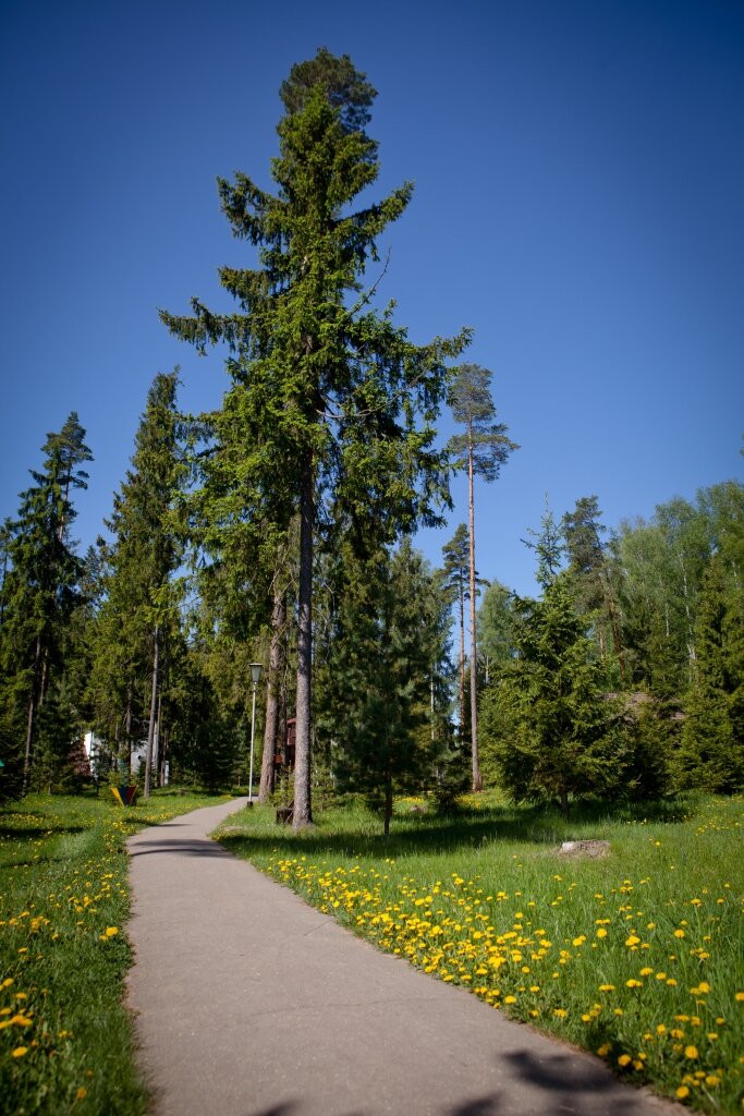 Гостиница Кантри Резорт Вербилки-111