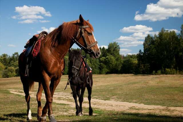 Гостиница Кантри Резорт Вербилки-54