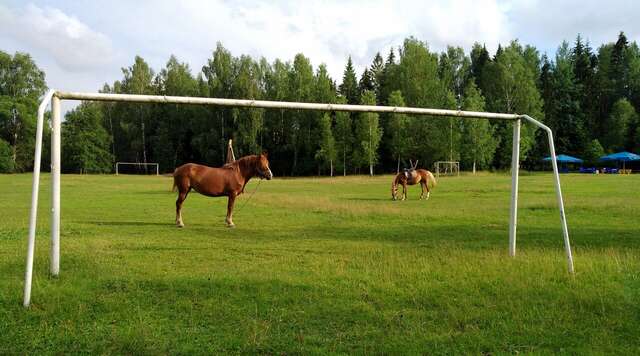 Гостиница Кантри Резорт Вербилки-115