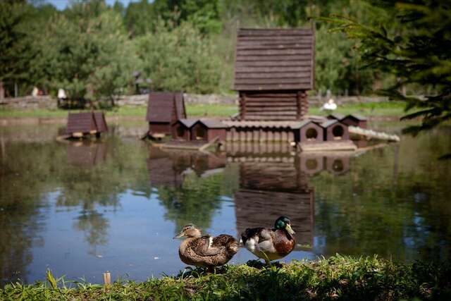 Гостиница Кантри Резорт Вербилки-53