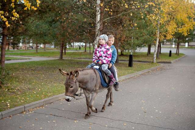 Гостиница Кантри Резорт Вербилки-163