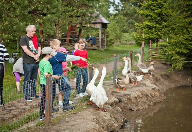 Гостиница Кантри Резорт Вербилки-154