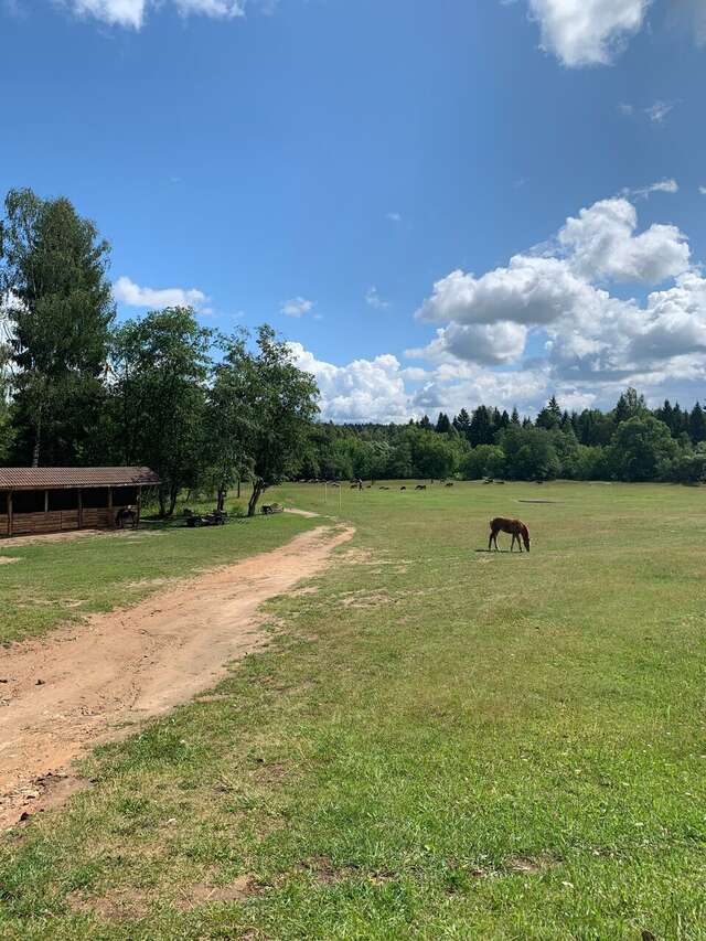 Гостиница Кантри Резорт Вербилки-223