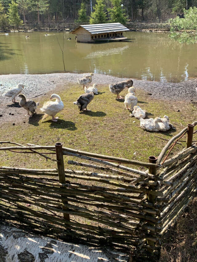 Гостиница Кантри Резорт Вербилки-112