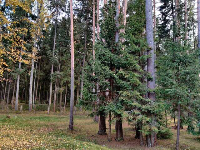 Гостиница Кантри Резорт Вербилки-162