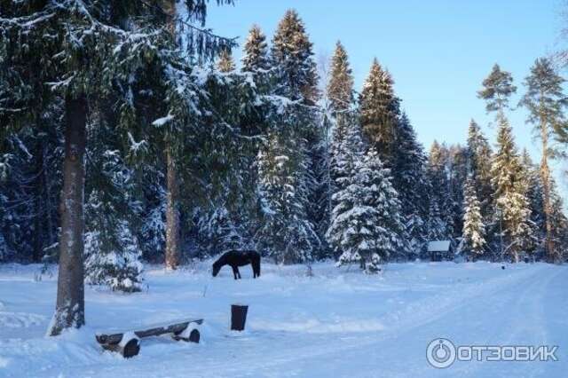 Гостиница Кантри Резорт Вербилки-123