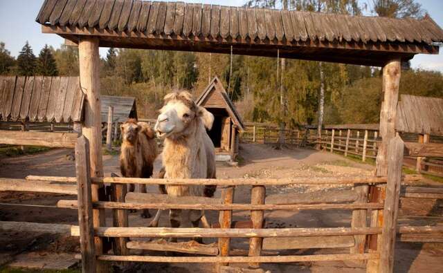 Гостиница Кантри Резорт Вербилки-48