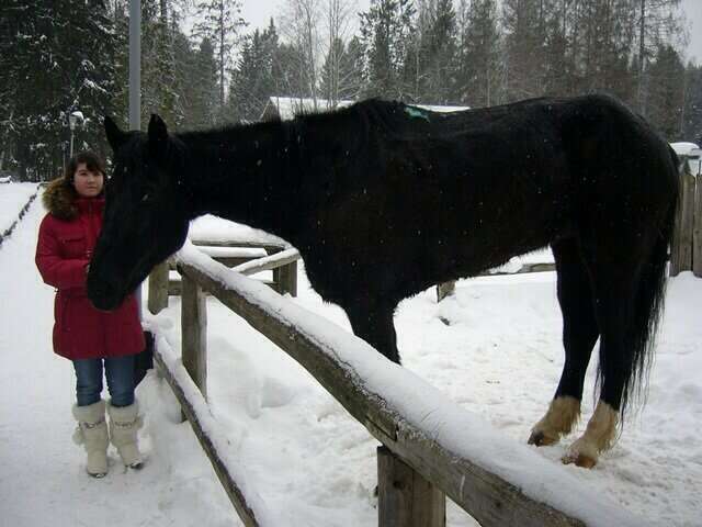 Гостиница Кантри Резорт Вербилки-234