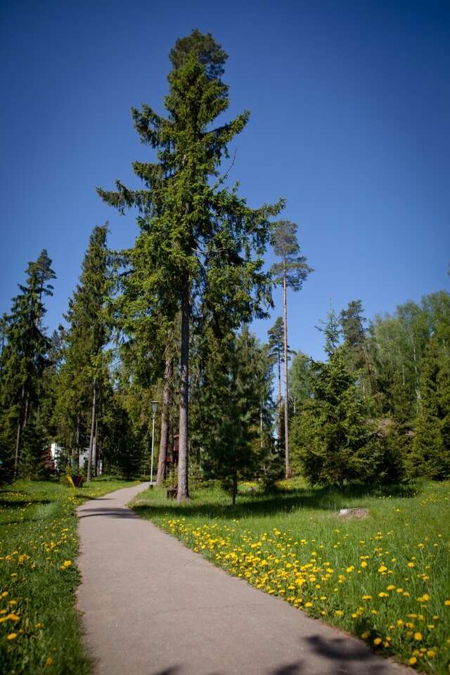 Гостиница Кантри Резорт Вербилки-110