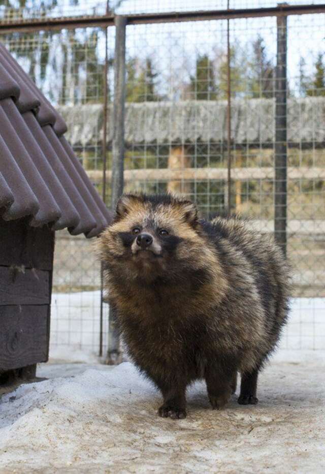 Гостиница Кантри Резорт Вербилки-101